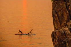 Starboard SUP 12' X 34" Go ASAP 2022 -Boating Equipment Store 2022 go allround Stand Up Paddle Board Starboard SUP Key Feature flat standing area 2 58970.1682724980