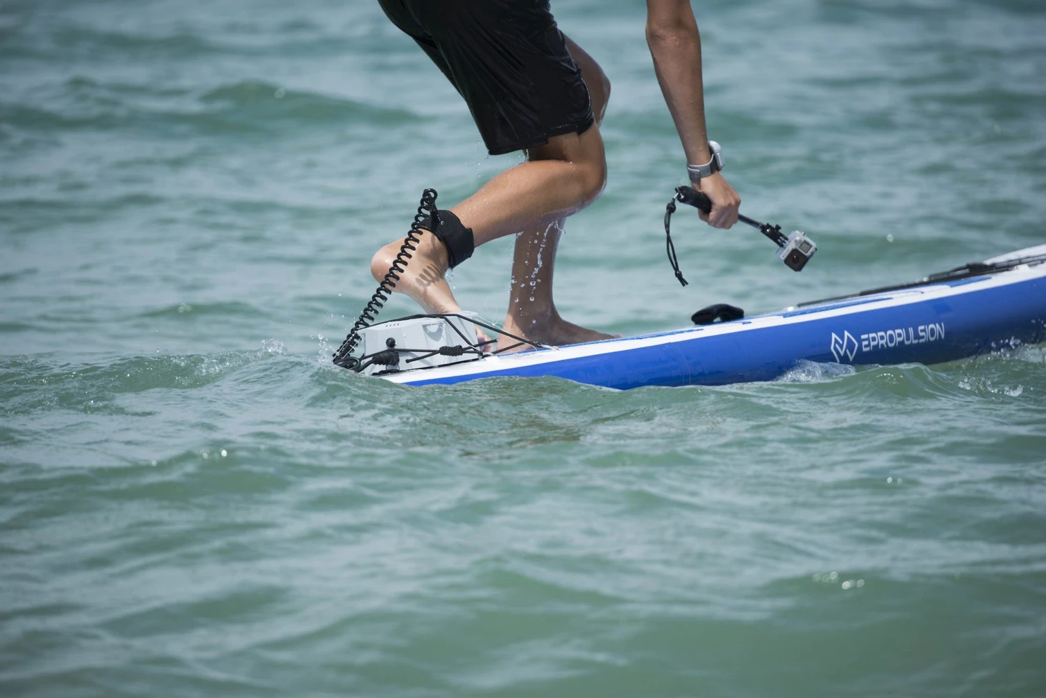 Vaquita Motor 4 Vaquita Motor - Image 4