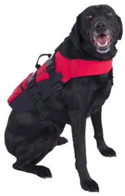 NRS Dog PFD -Boating Equipment Store Dog PFD on Dog 57638.1586893804